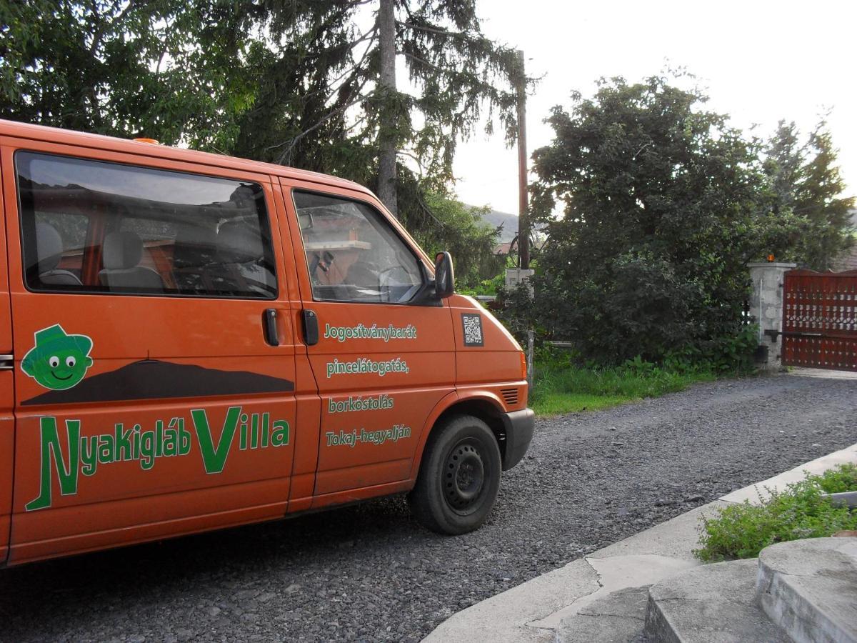 Szegi Nyakiglab Villa מראה חיצוני תמונה